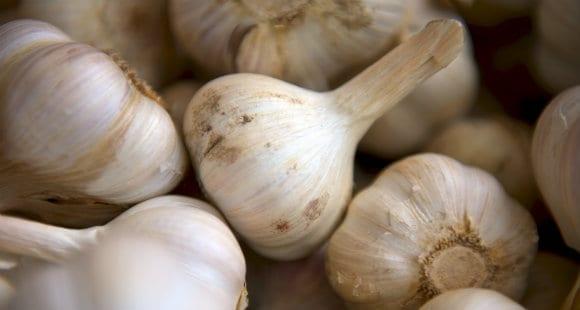 Knoflook gezond