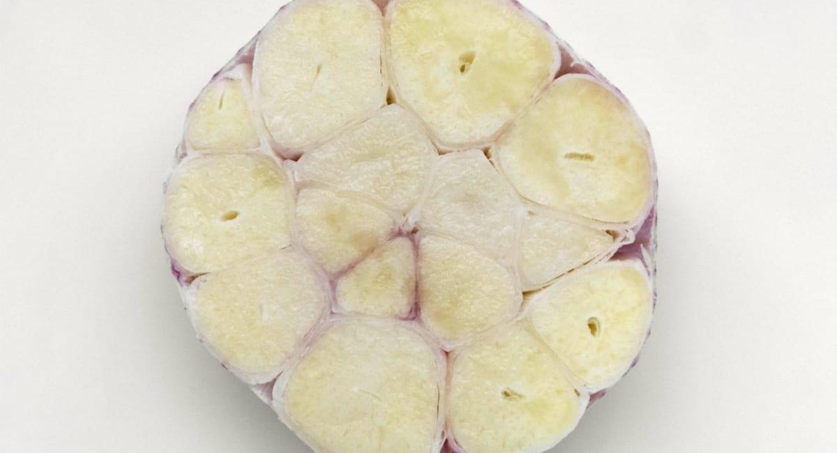 knoflook gezond