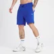 MP Crayola Rest Day short voor heren - Lichtblauwgroen