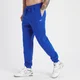 MP Crayola Rest Day joggingbroek voor heren - Lichtblauwgroen